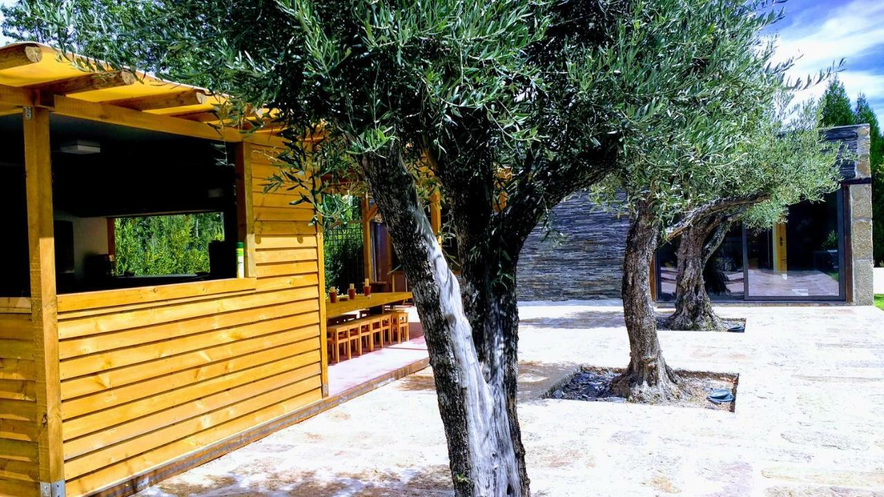 Casa Do Prado Guesthouse 维拉·雷阿尔 外观 照片