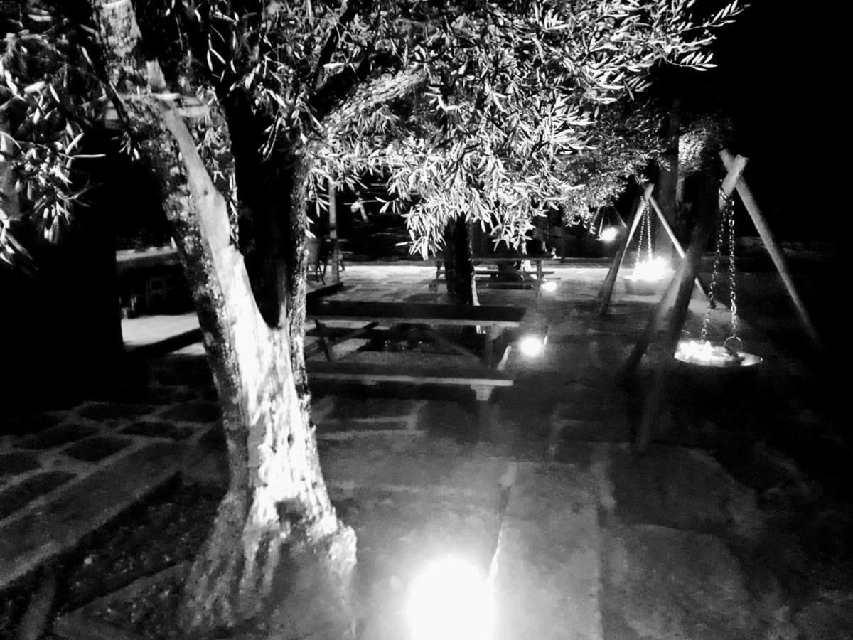 Casa Do Prado Guesthouse 维拉·雷阿尔 外观 照片